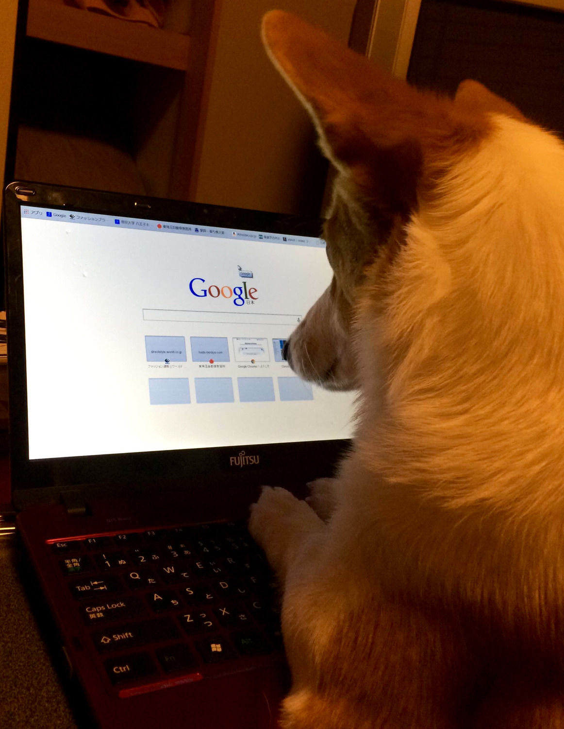 デジタル派:Google カレンダー