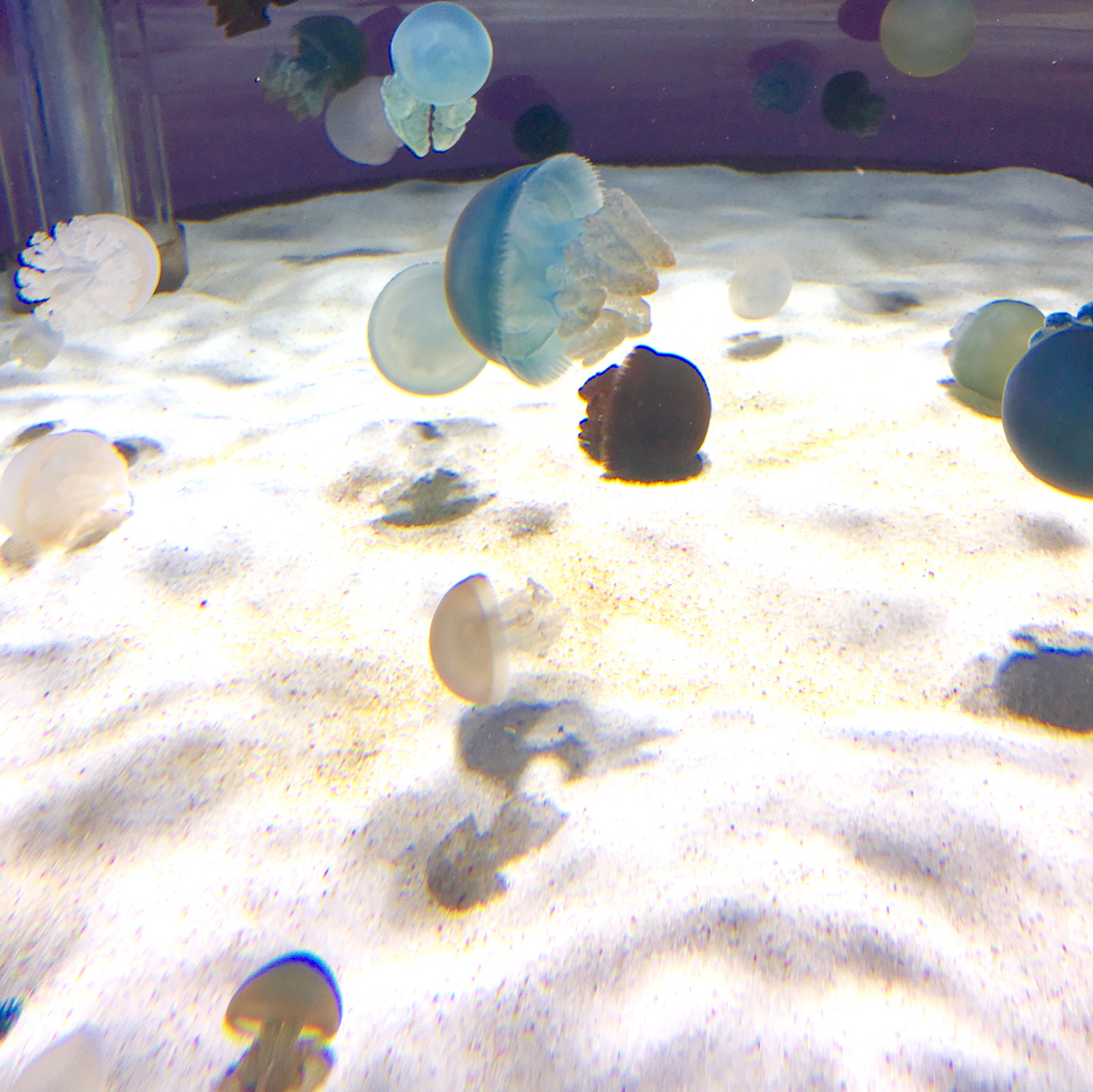 水族館