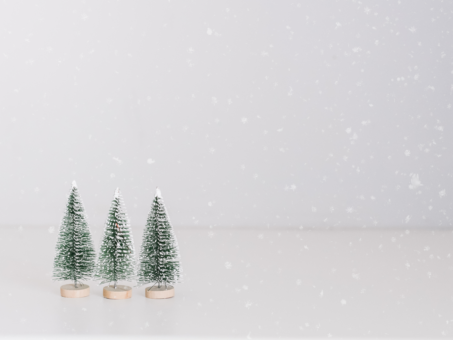 今年のクリスマス、彼の隣にいたいな