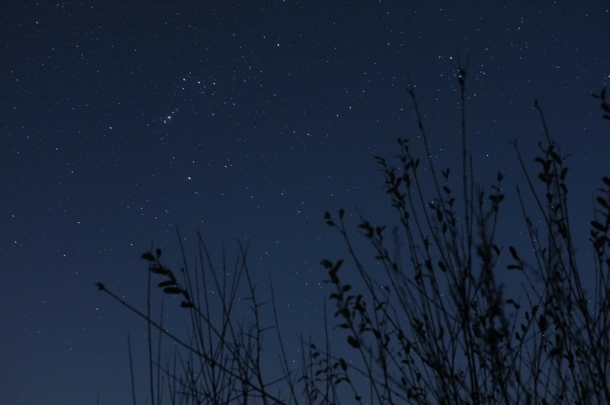 星が綺麗に見える季節だから