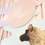【MERYイベント】魔法のような7日間、LUCKY MERY WEEKをまるっと総おさらい～♡