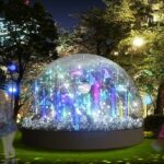 【関東編】2020〜21のイルミネーション情報！幻想的な光の世界を楽しみましょ
