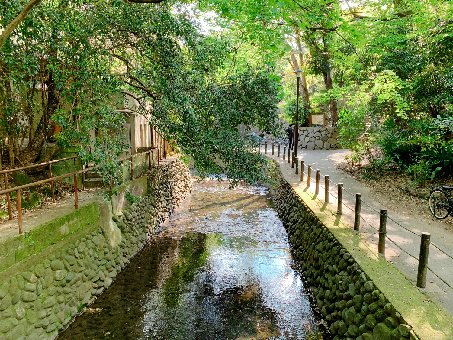 等々力渓谷公園