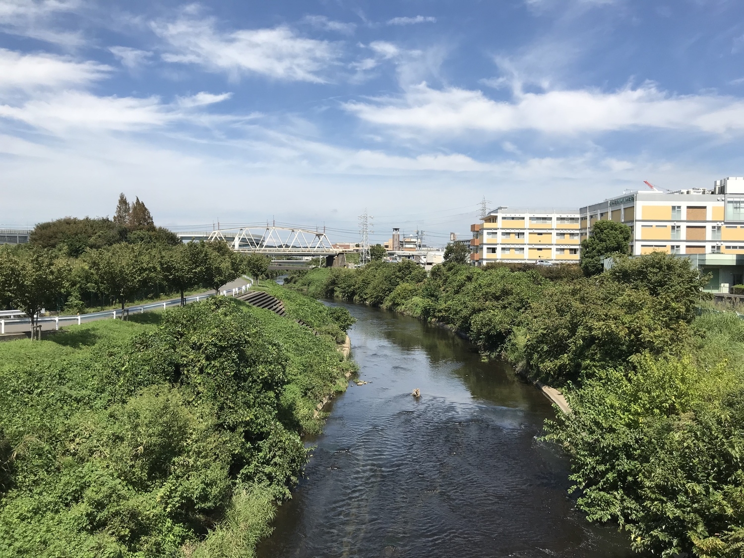 横浜市青葉区、スイーツ&パン激戦区説
