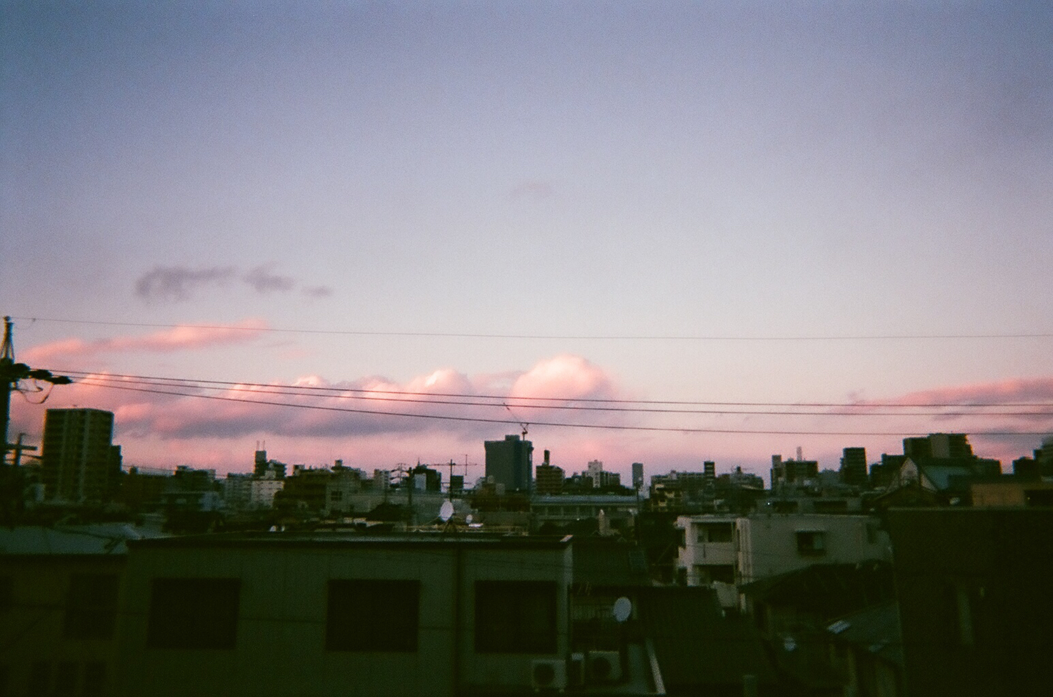 「色んなところへ、お出かけしたね」