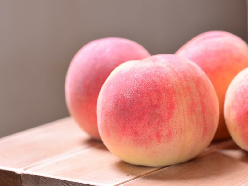 なりたいfruits見つかった?
