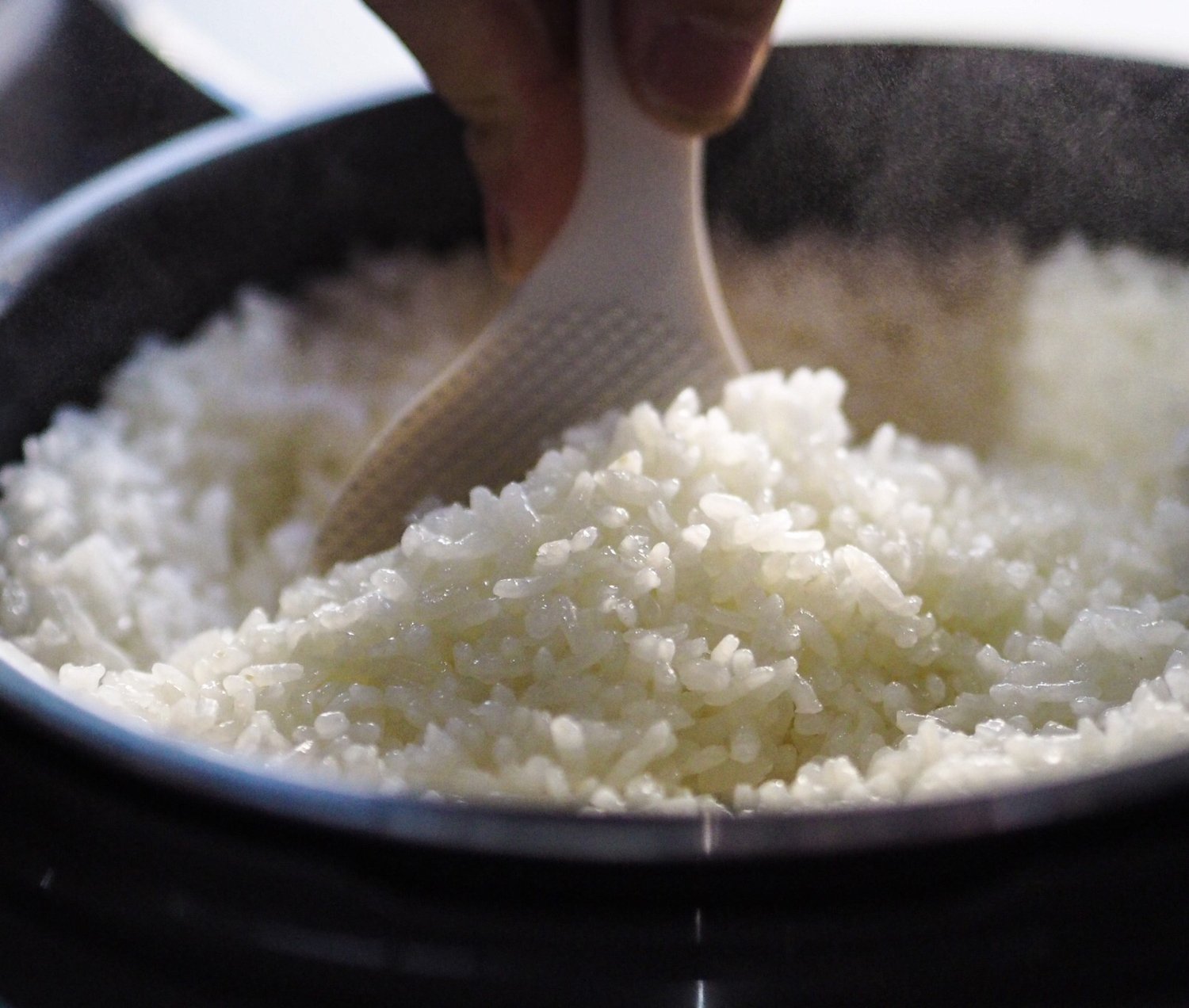 ご飯はまとめ炊きで冷凍保存
