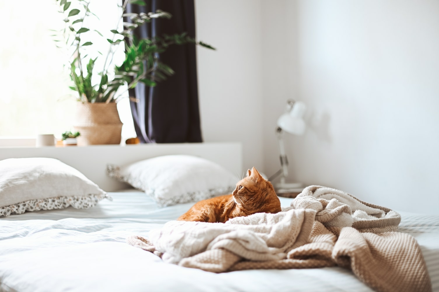 快適な睡眠は、ベッド周りにあり