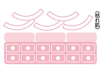 保湿しても潤っている感じがしない…?