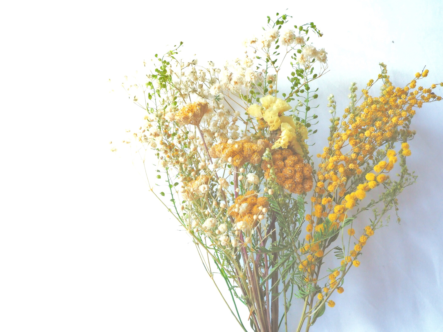 そもそも乾燥性敏感肌とは?