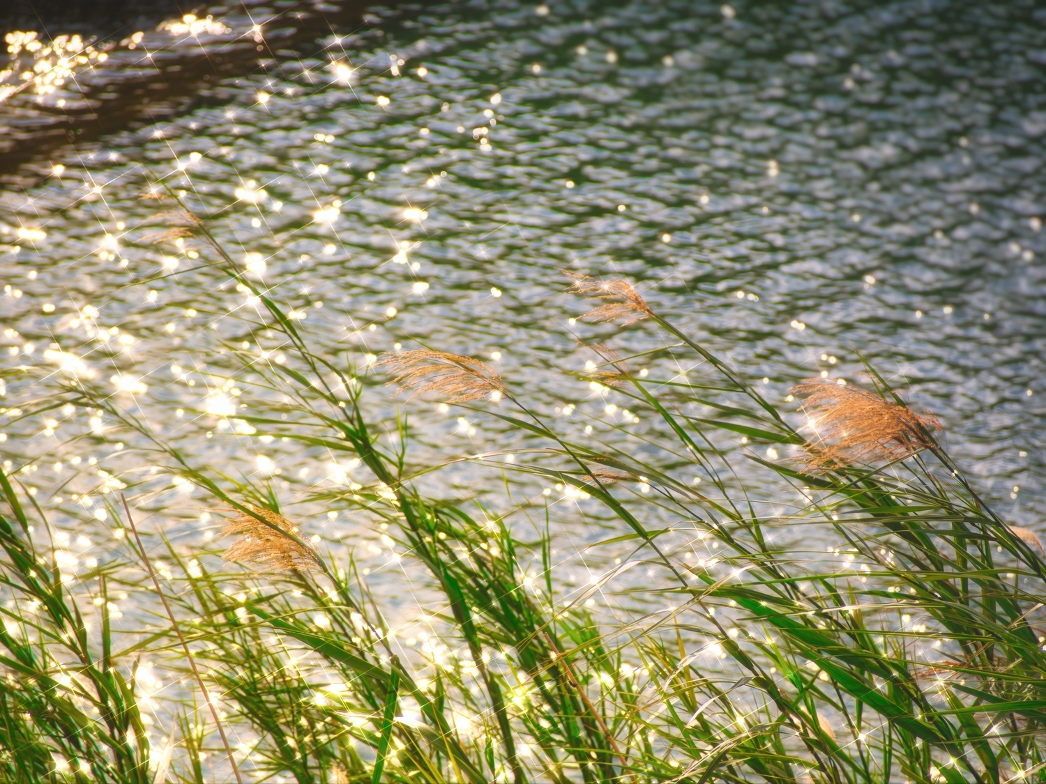 盈盈一水(えいえいいっすい)