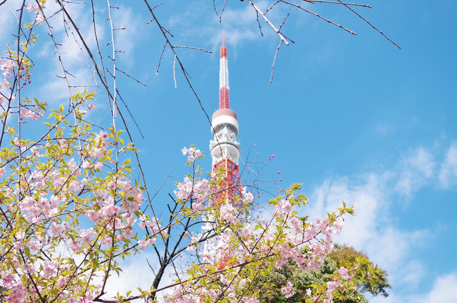 ぽかぽかの季節はもうすぐそこに