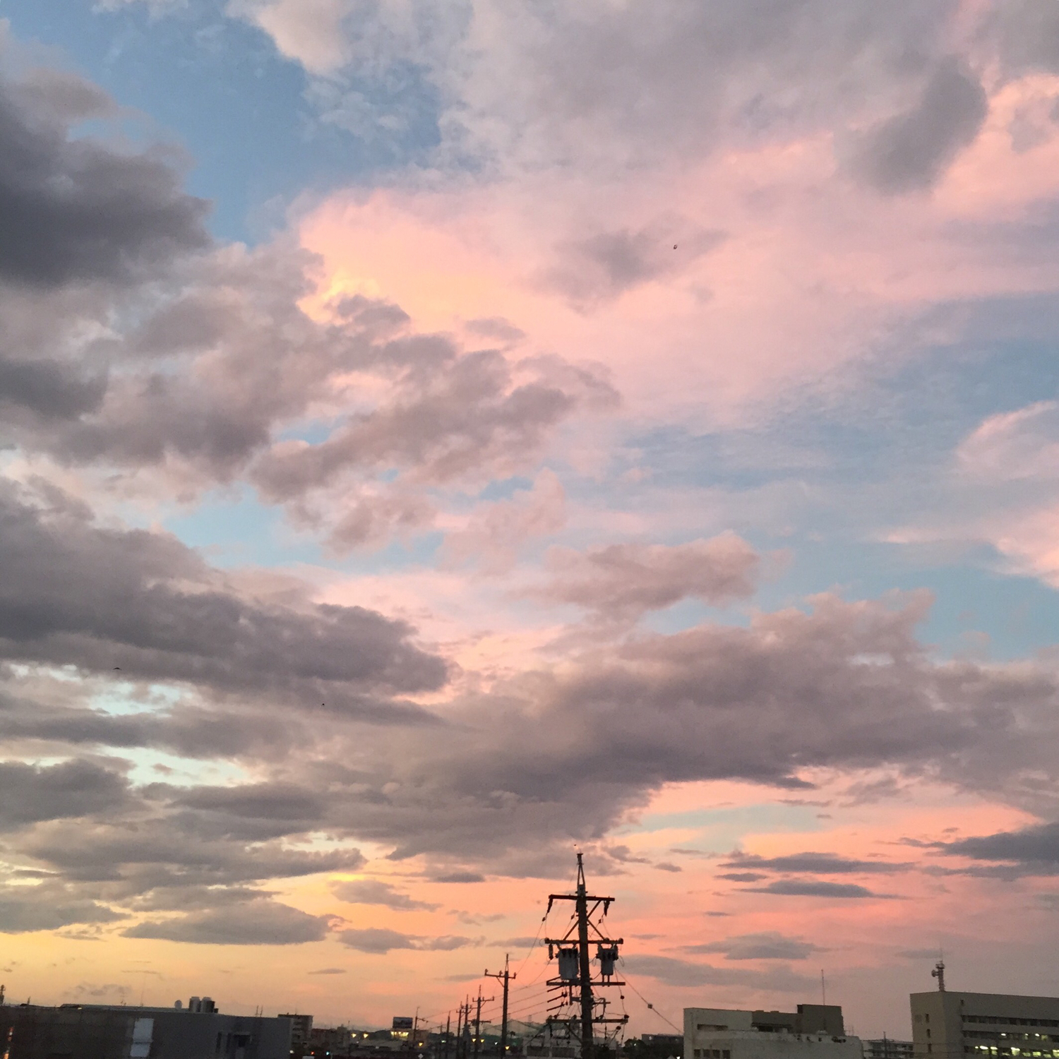 太陽が西に傾く半端な時間
