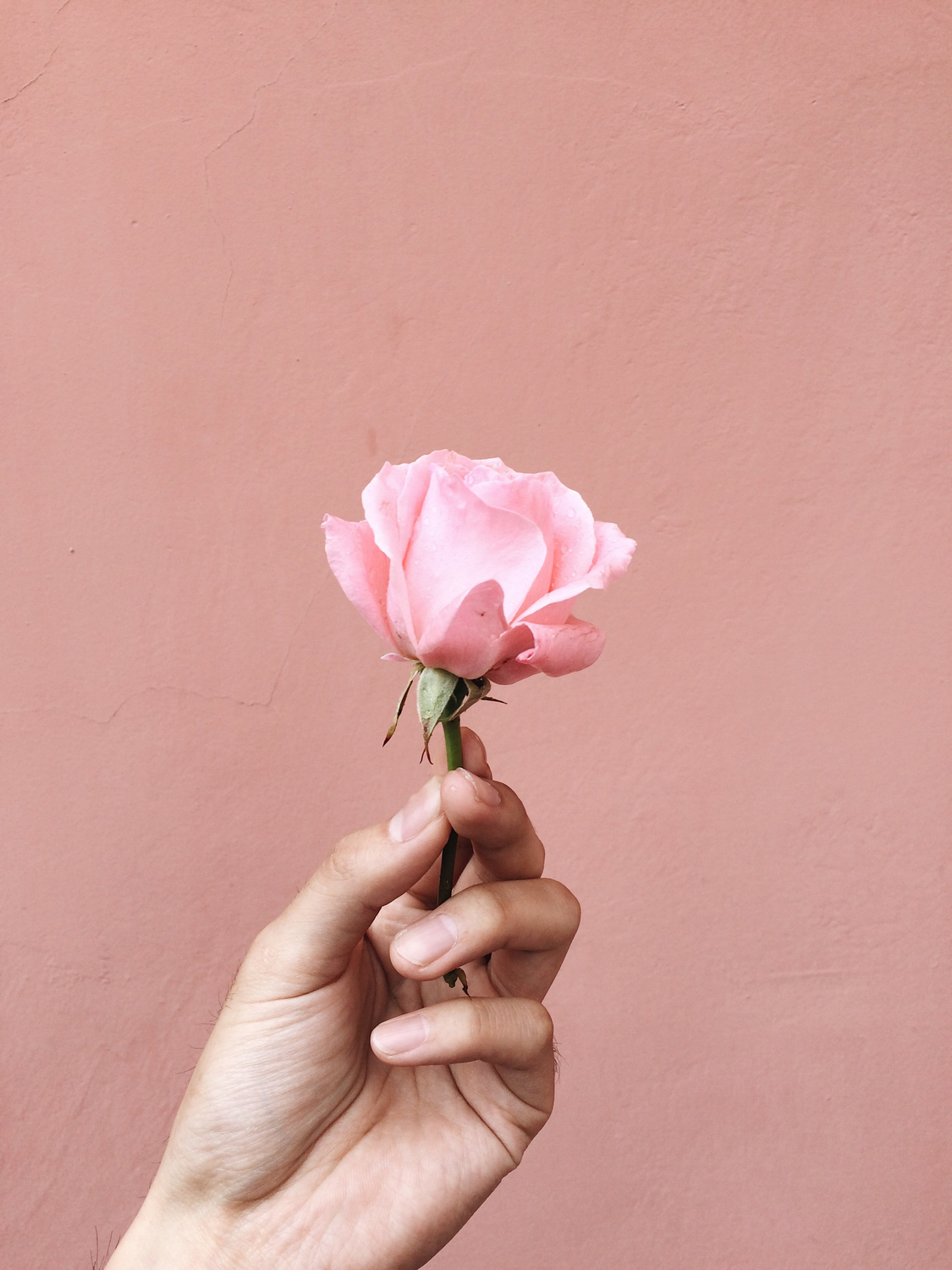 Pink▷