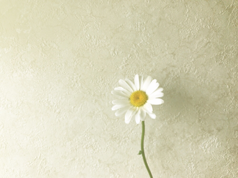 White▷