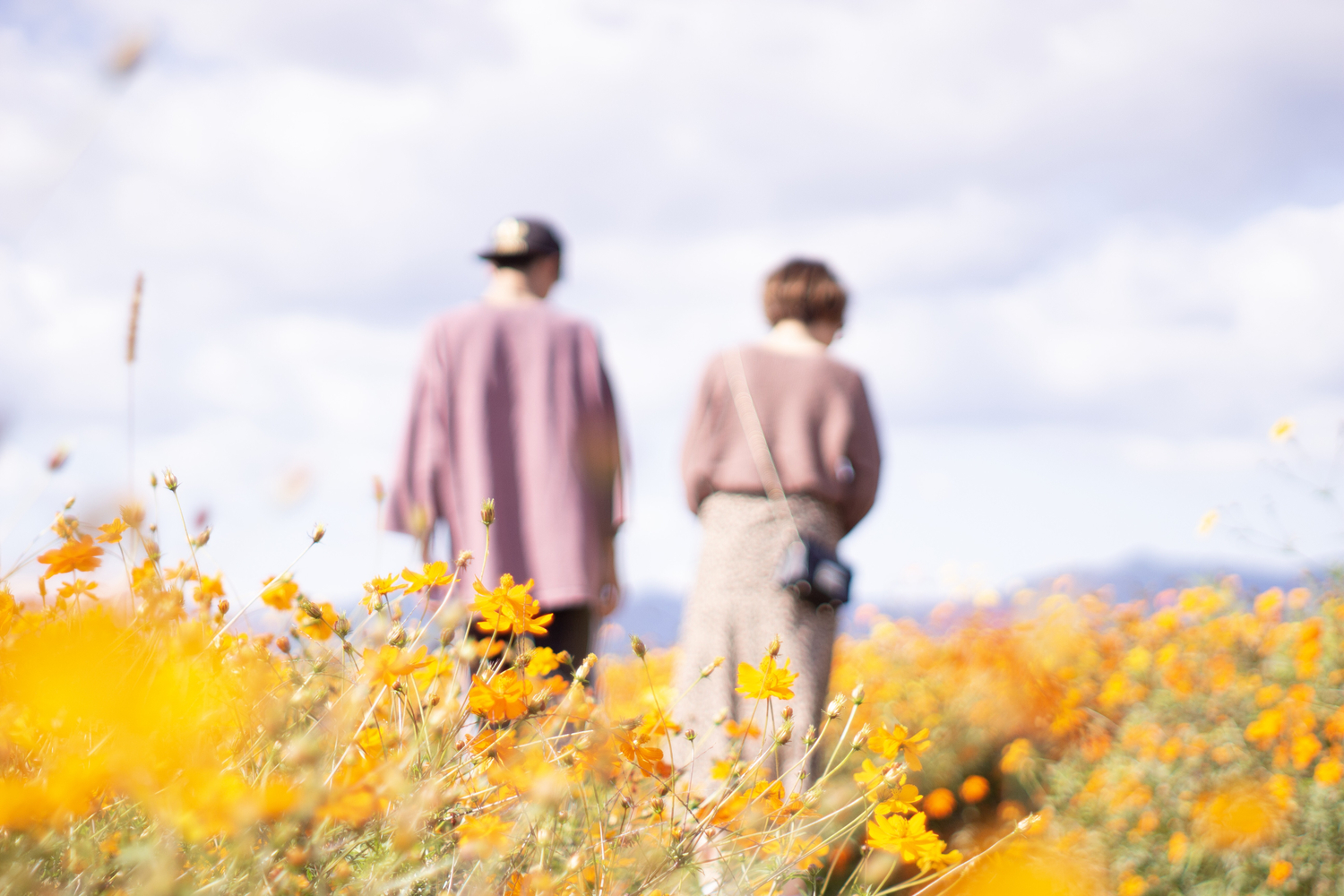 長期的な付き合いへの発展も期待できる