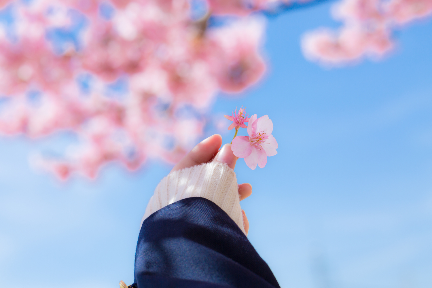 ドキドキしながら美容室へ