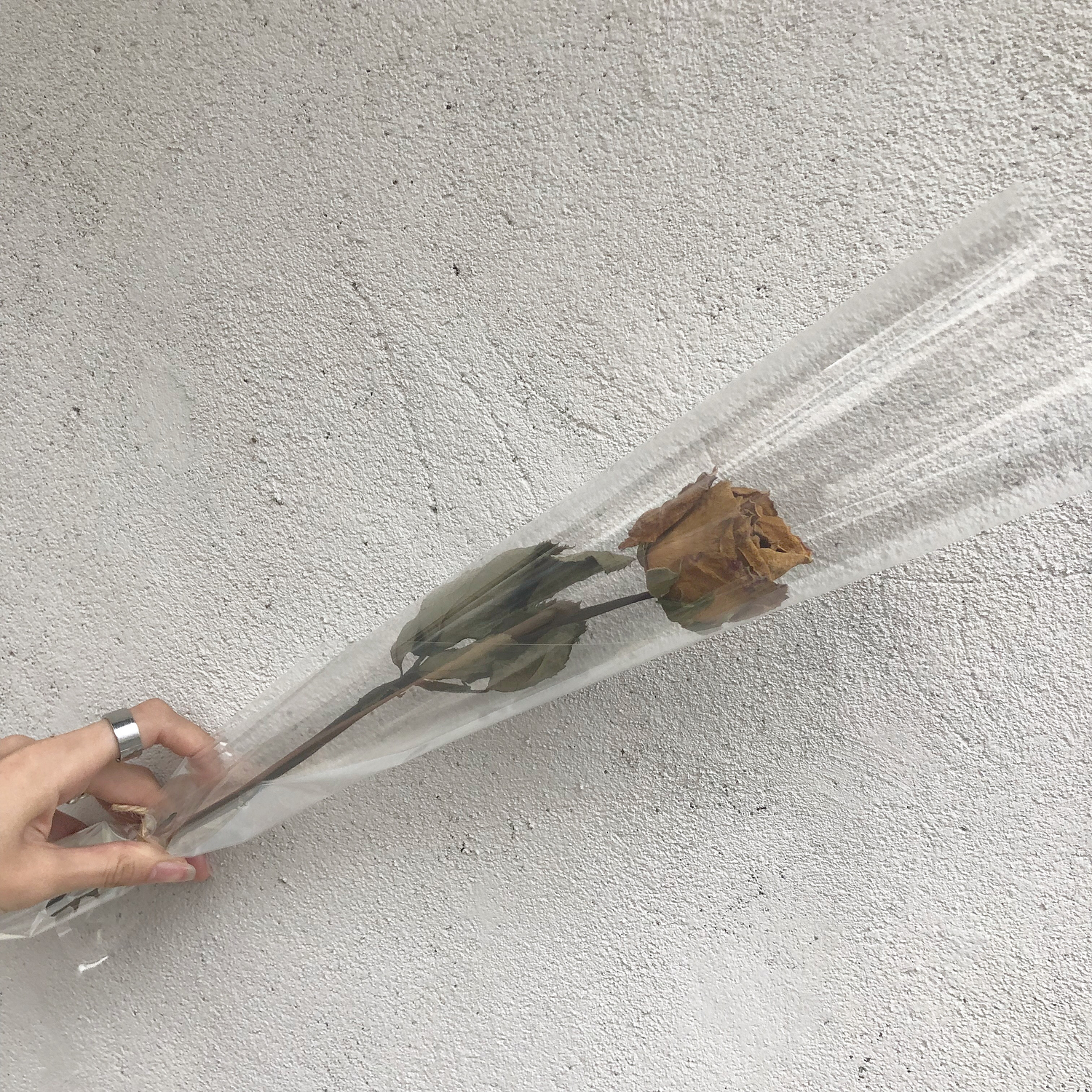 ドライフラワーにしてみる