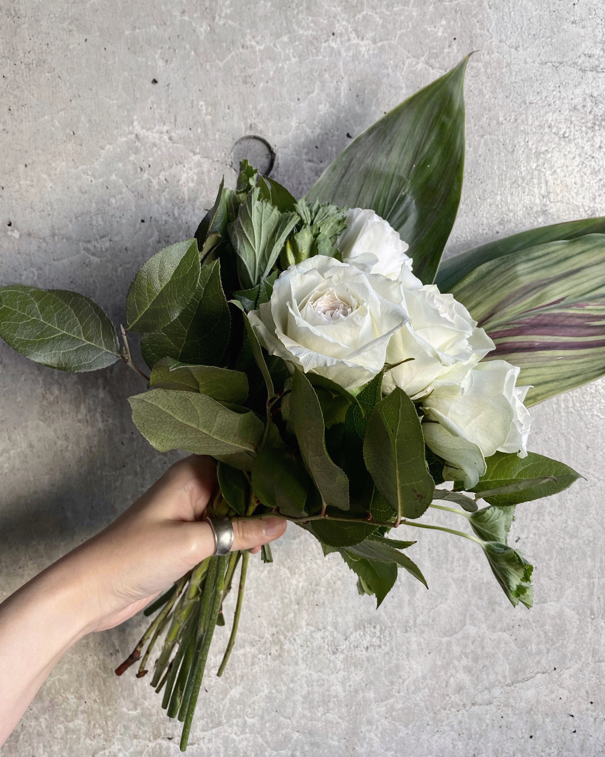薔薇