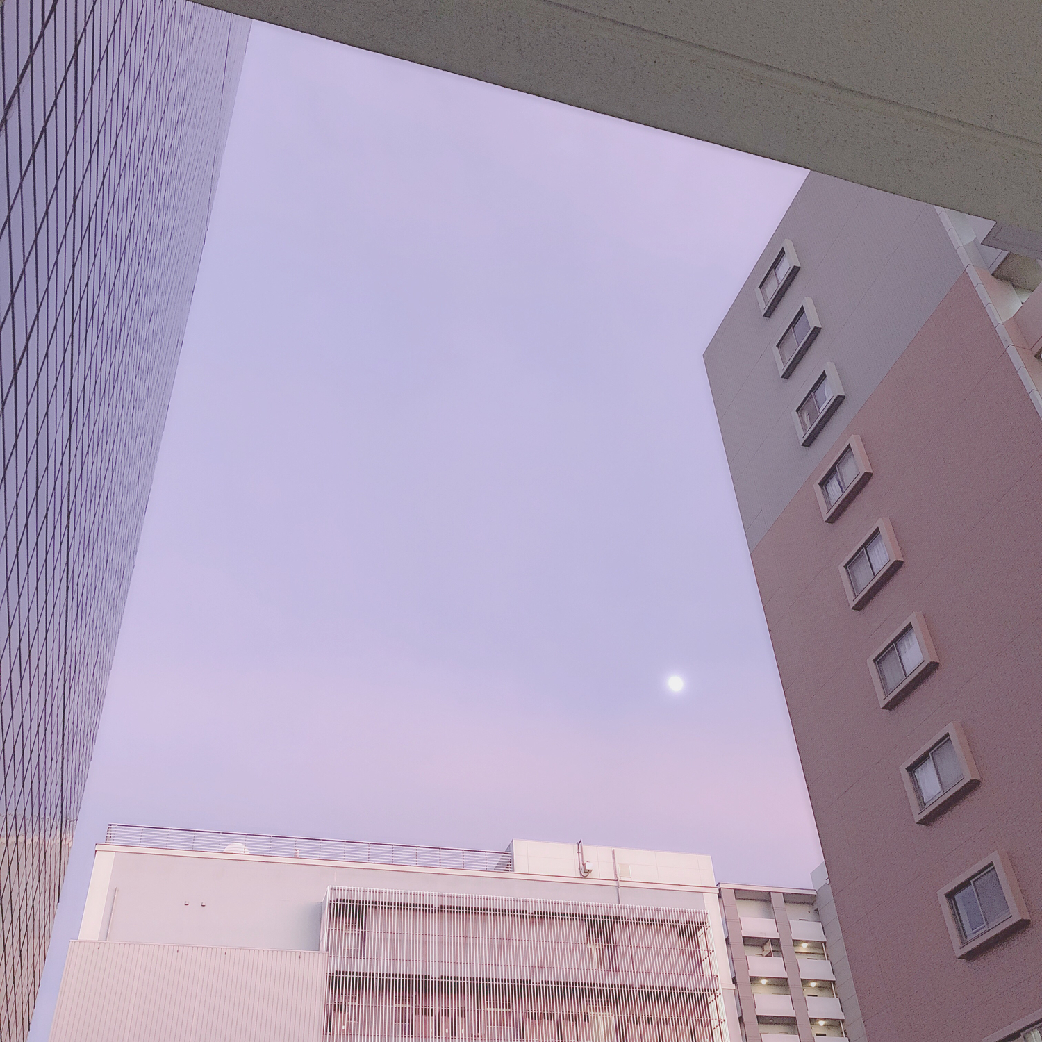 辛い思いはしたくないの