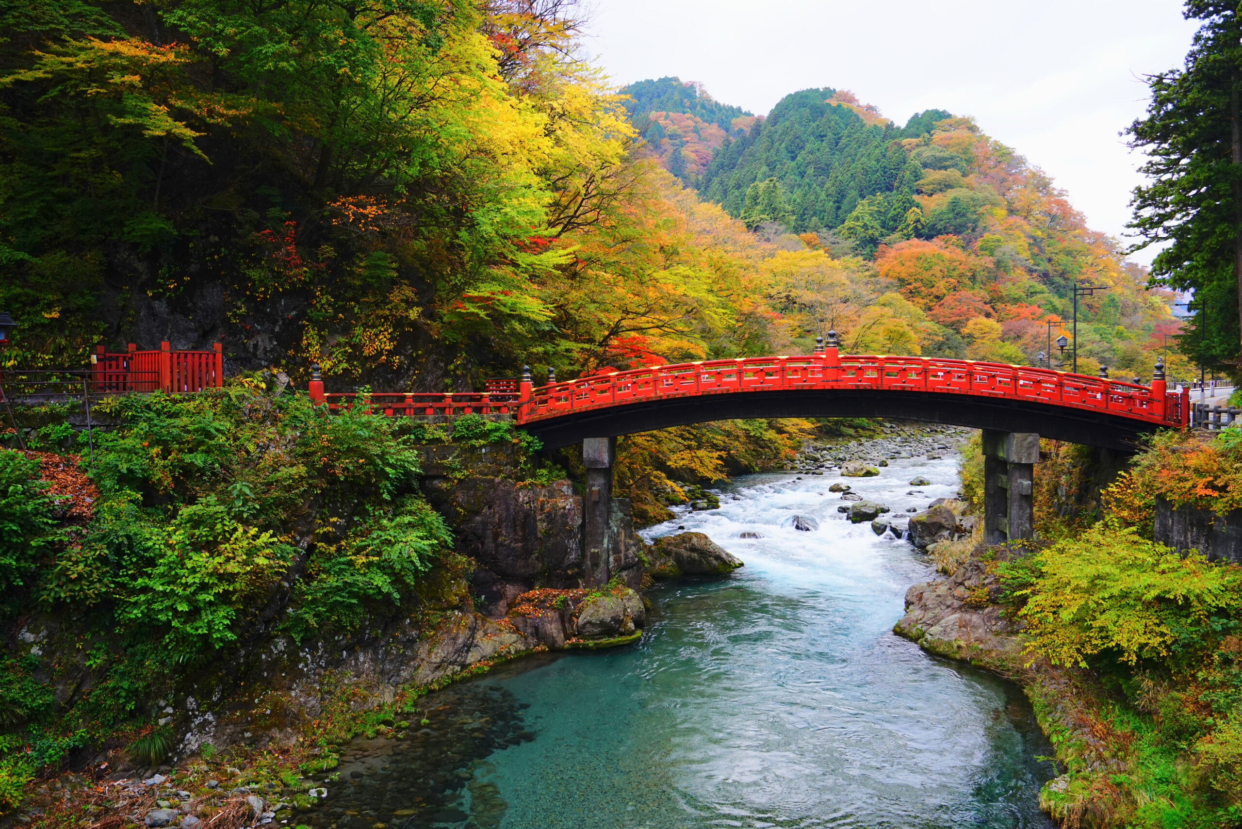 栃木といったら?