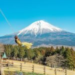 ゆらゆらしながら語り合った青春をもう一度。大人になった今乗りたい絶景ブランコ