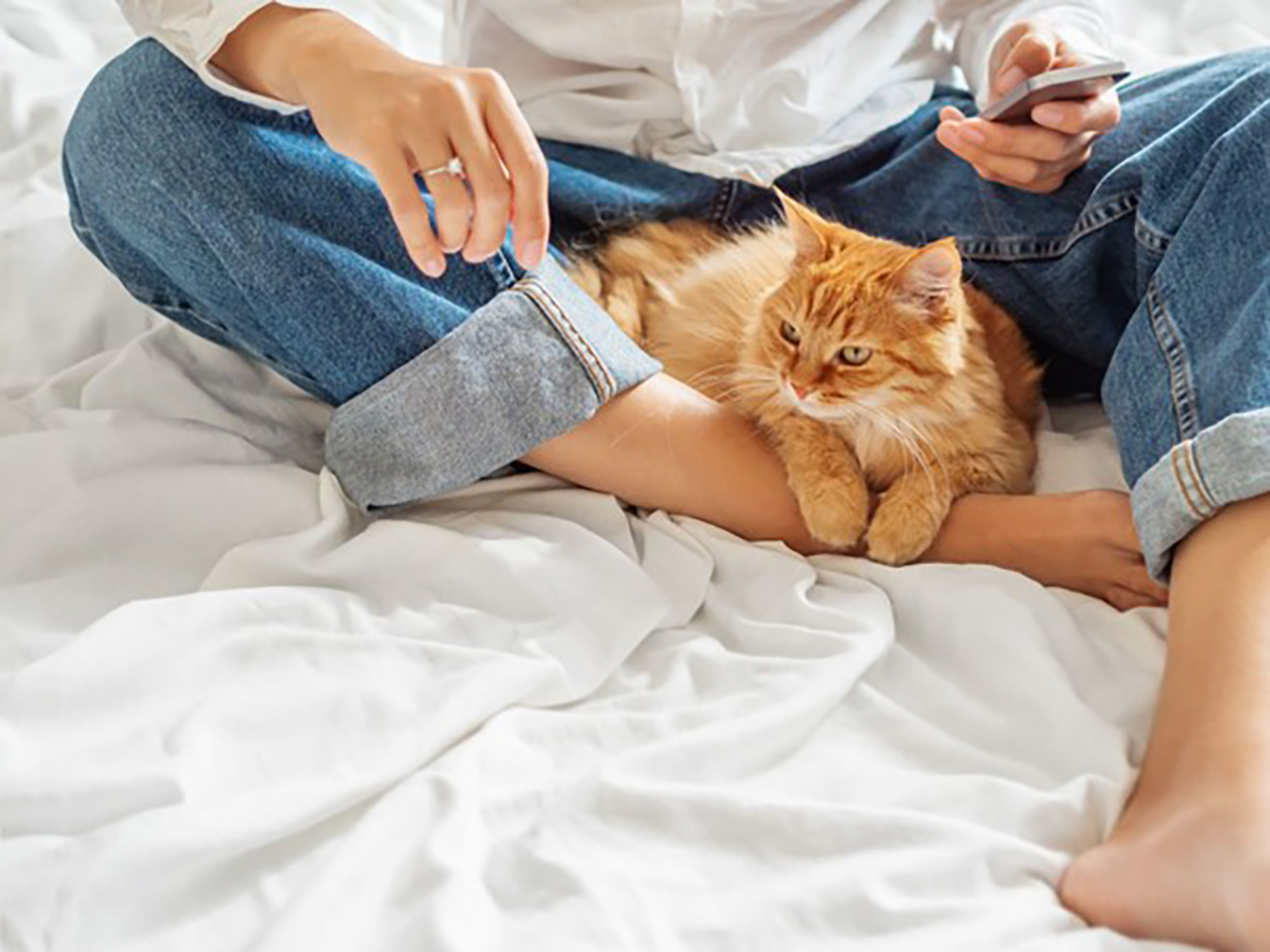 猫好きな人の特徴 あるあるまとめ 男女別の性格や上手な付き合い方を解説 Mery