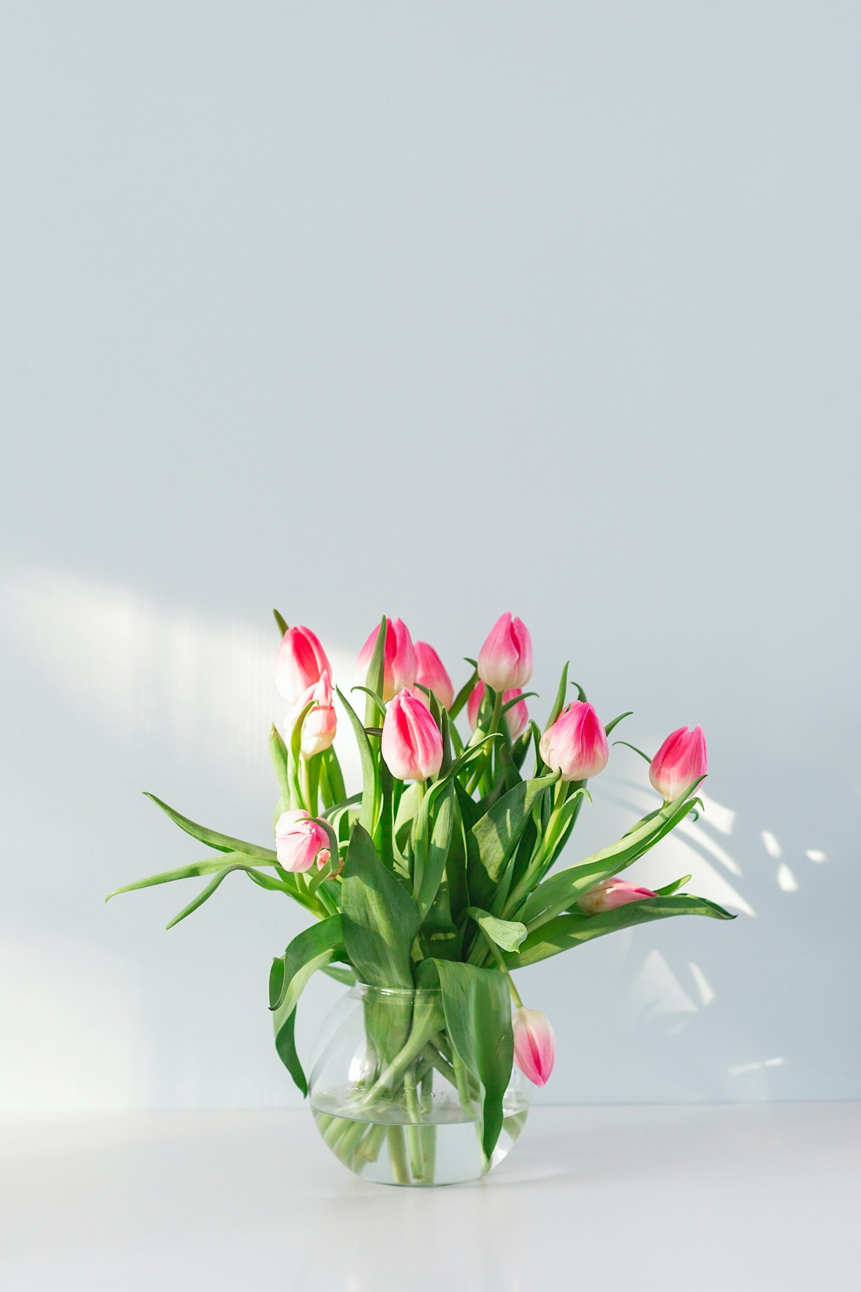 お花