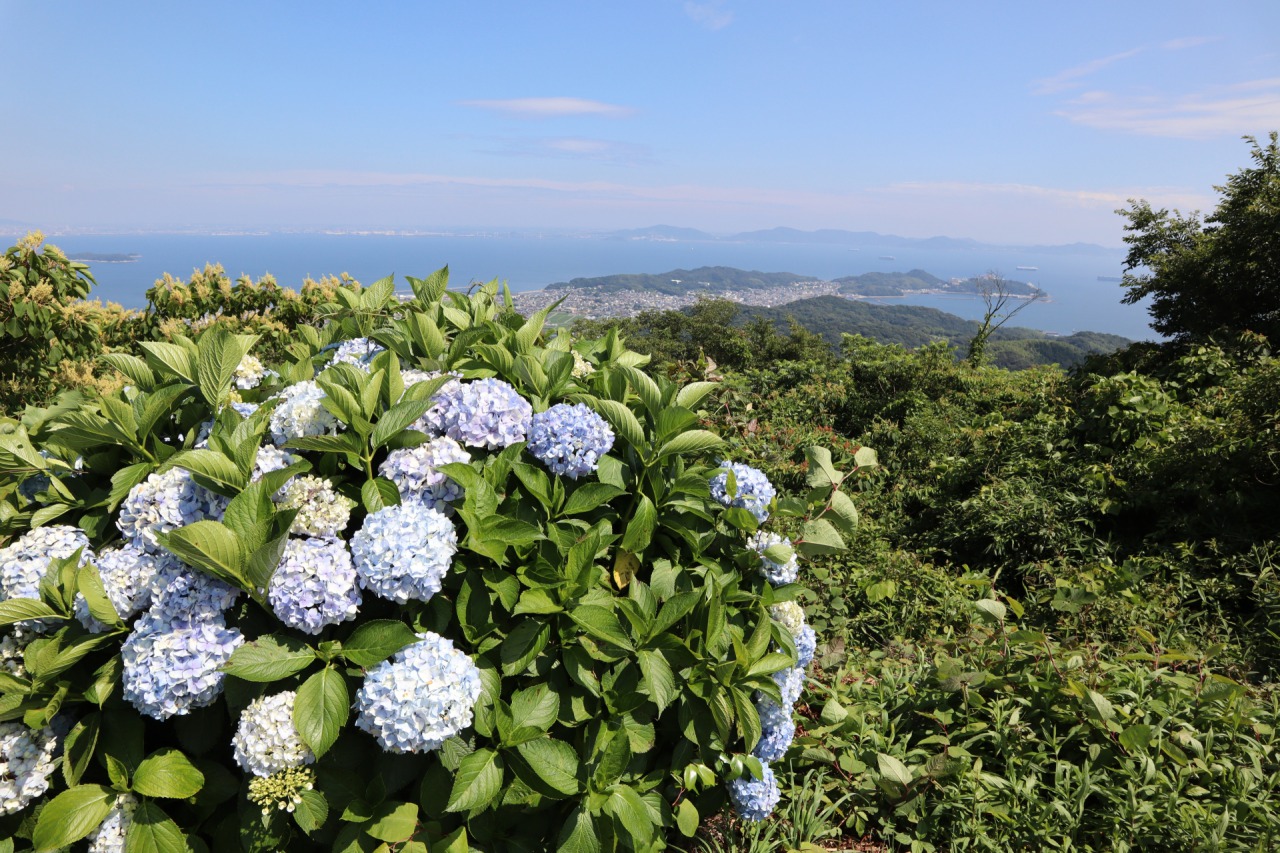 三ヶ根山スカイライン