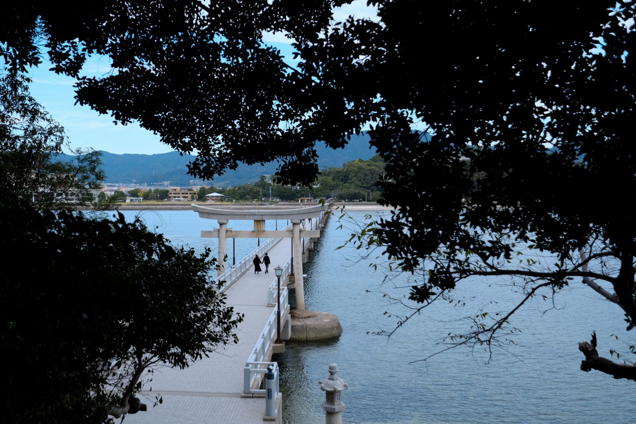 愛知 竹島