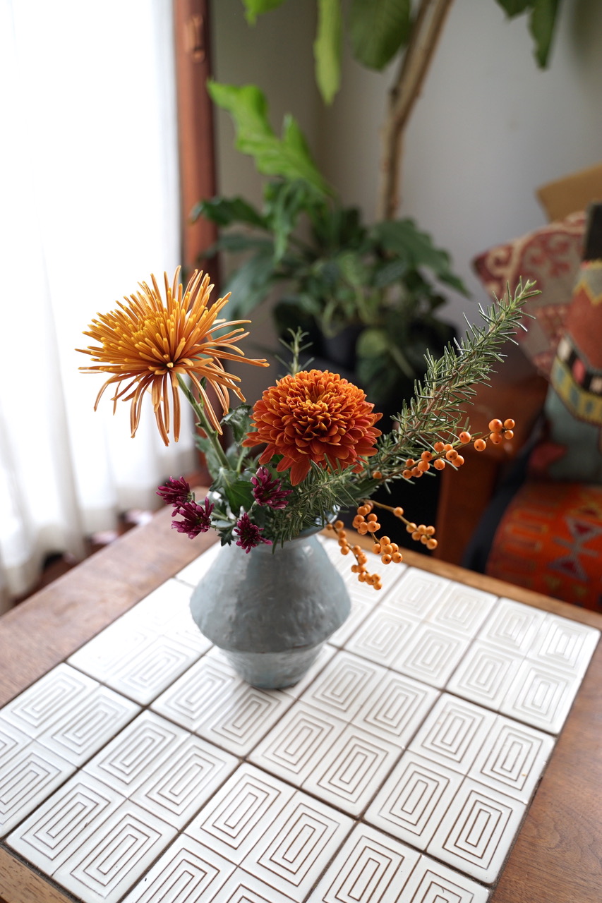 菊の花