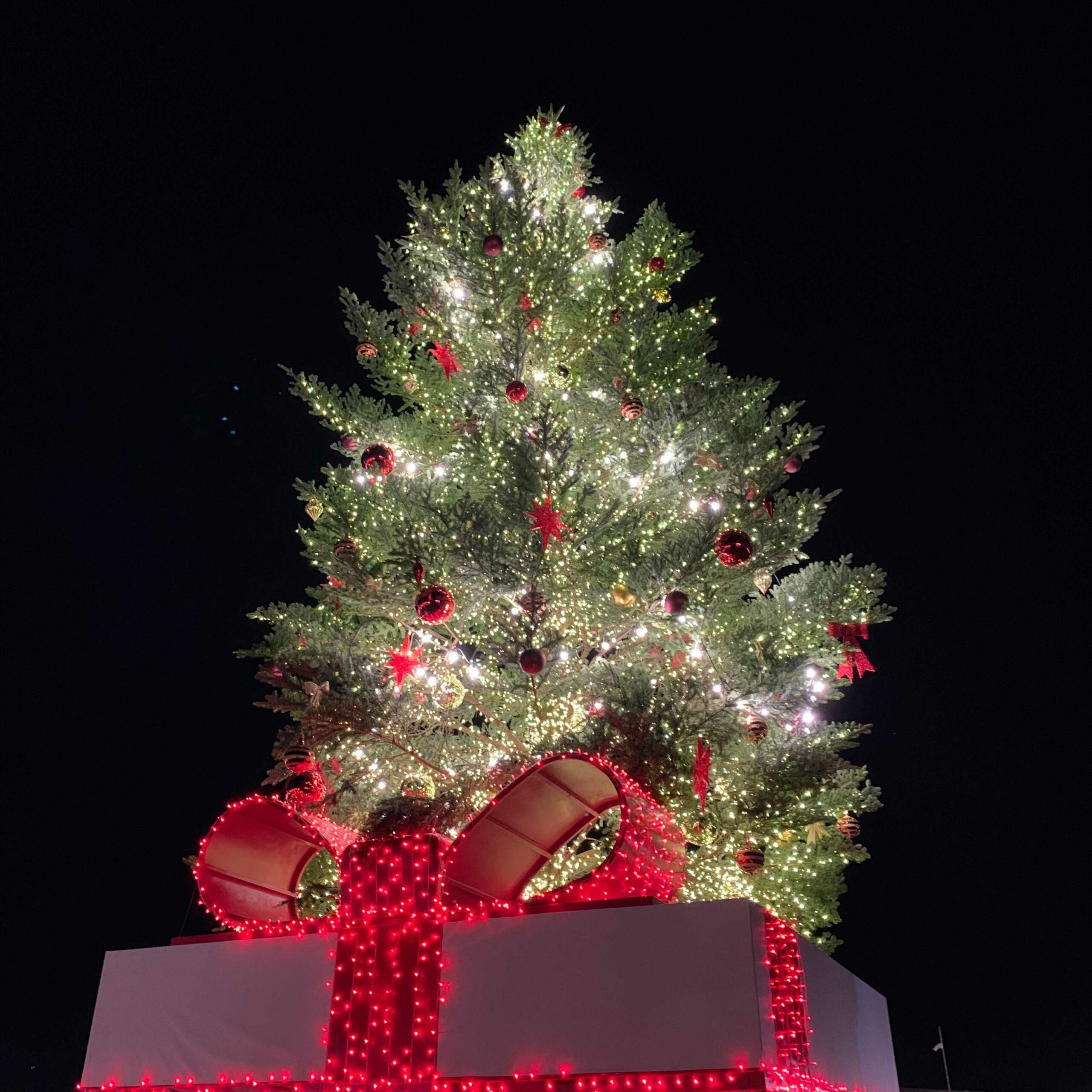 ライトアップされたクリスマスツリー