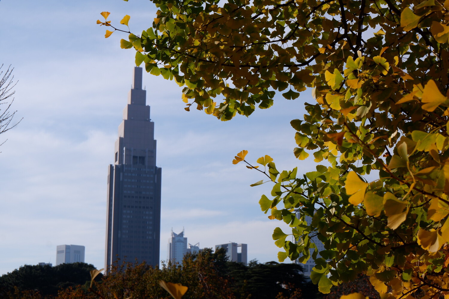 新宿御苑