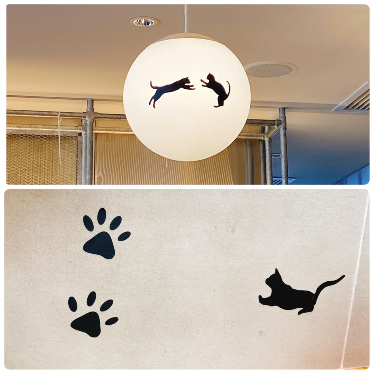 ねこカフェ 新大久保