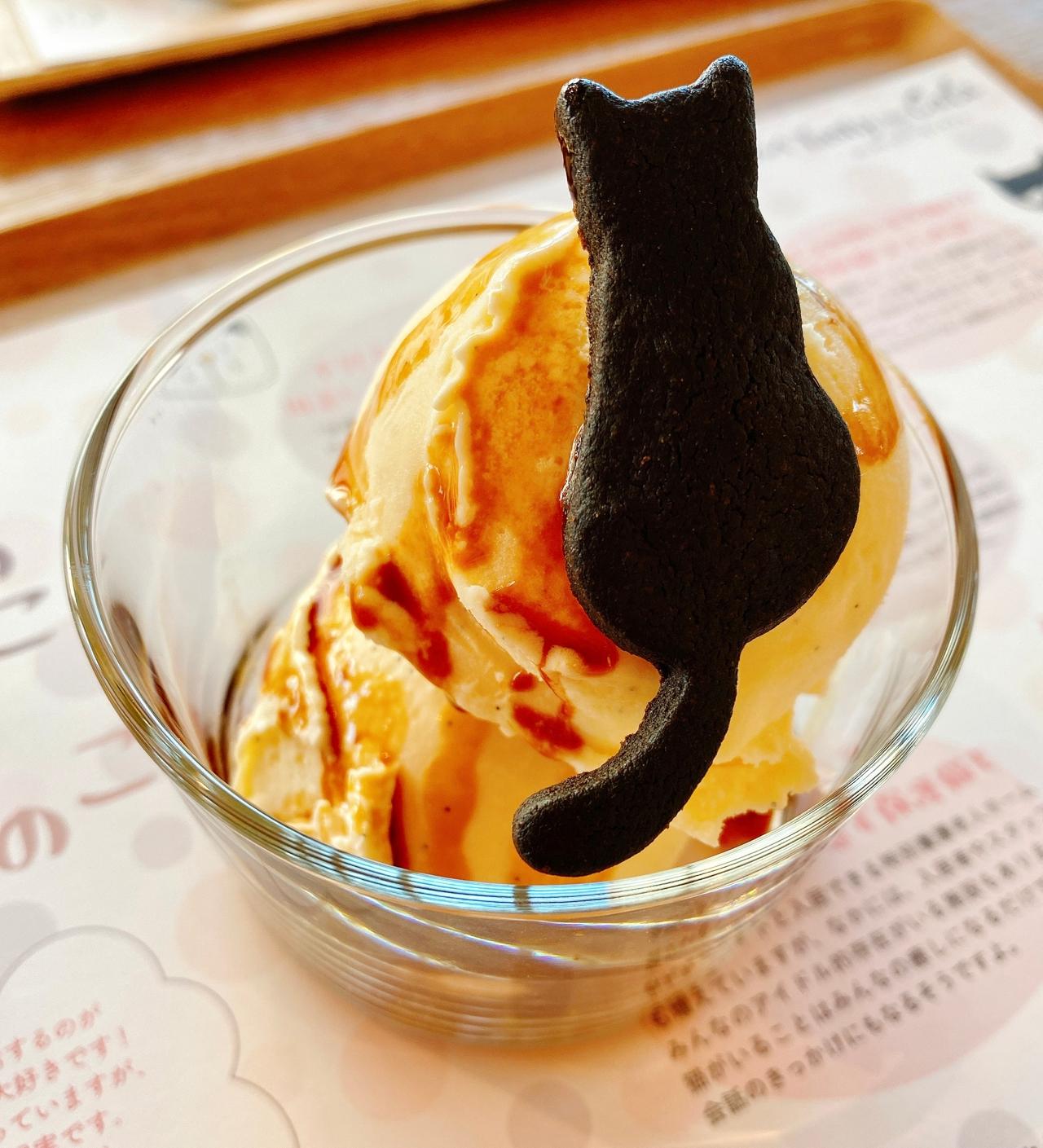 ねこカフェ 新大久保