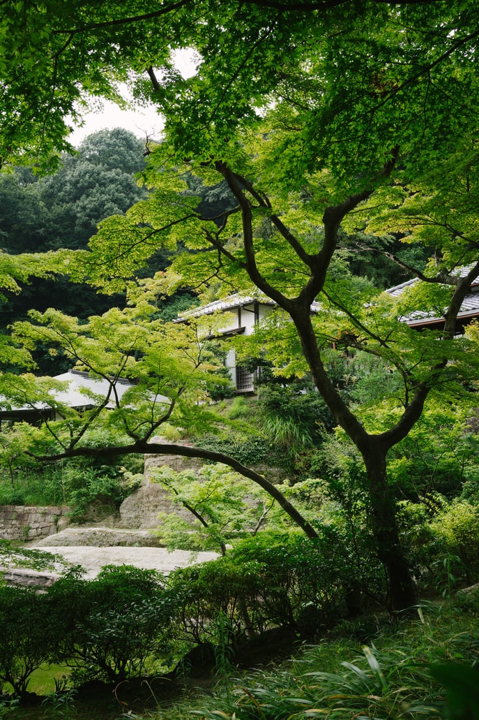 円覚寺