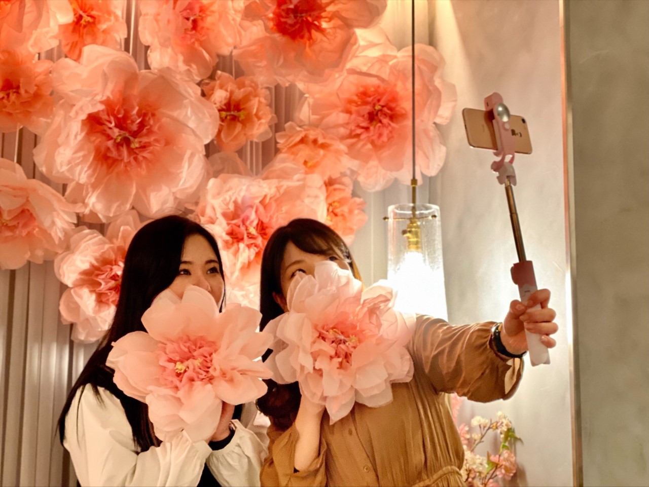 花旅イメージ