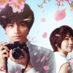 『桜のような僕の恋人』