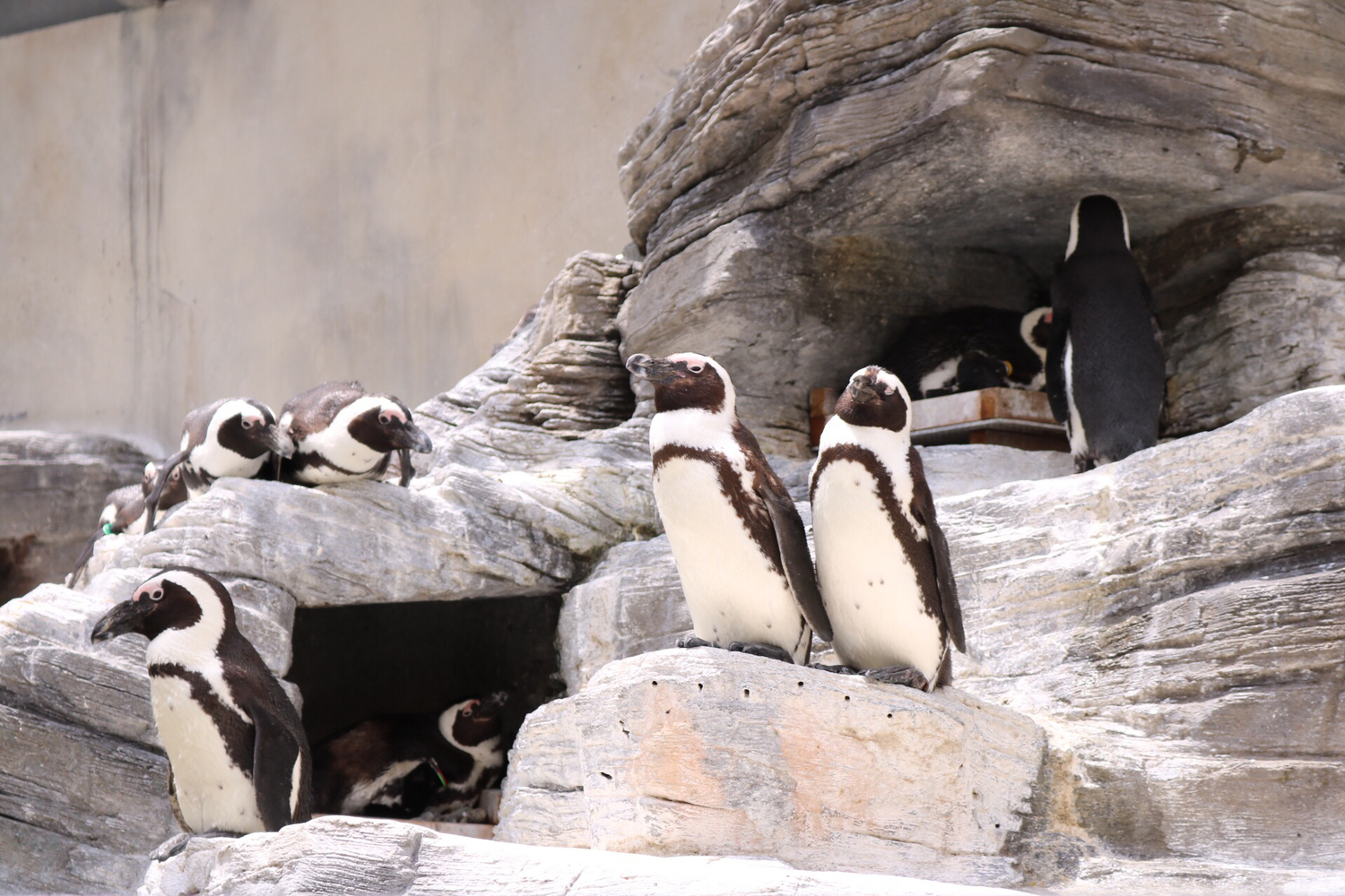 水族館