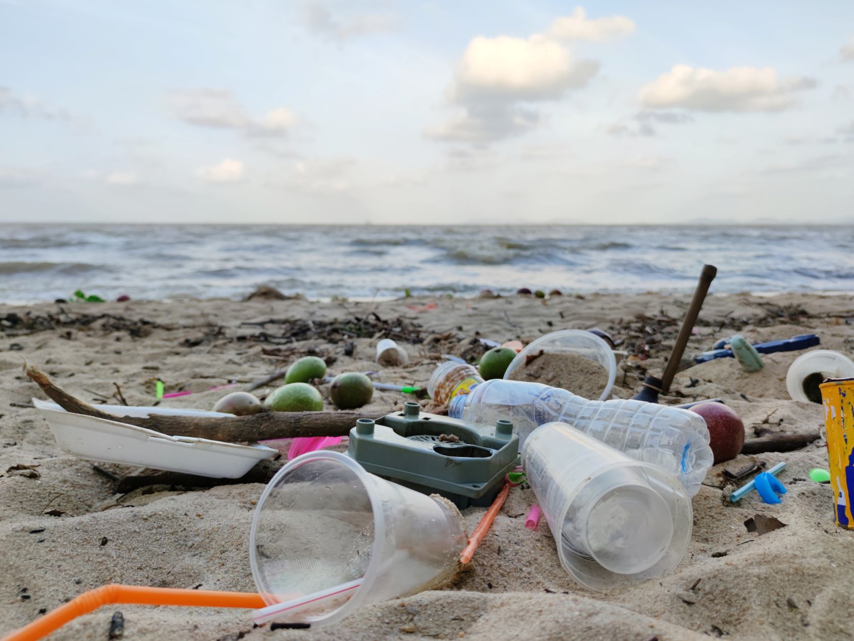 プラスチックごみ