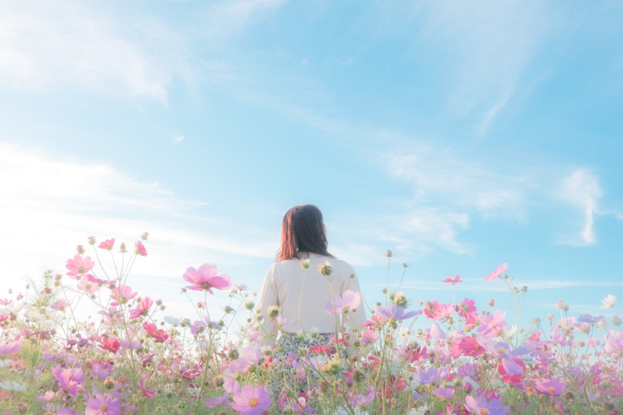 花畑と女性