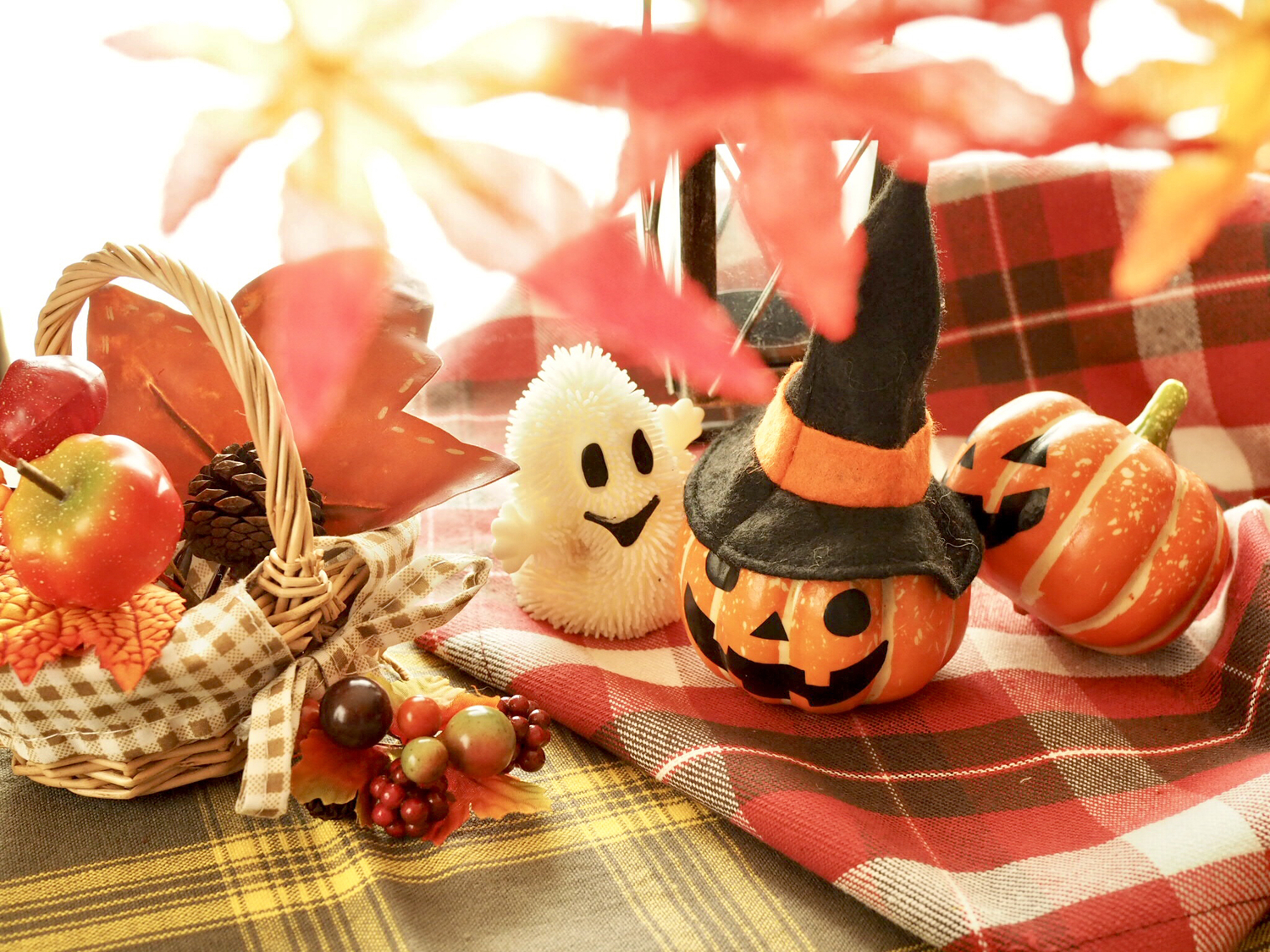 秋、ハロウィン