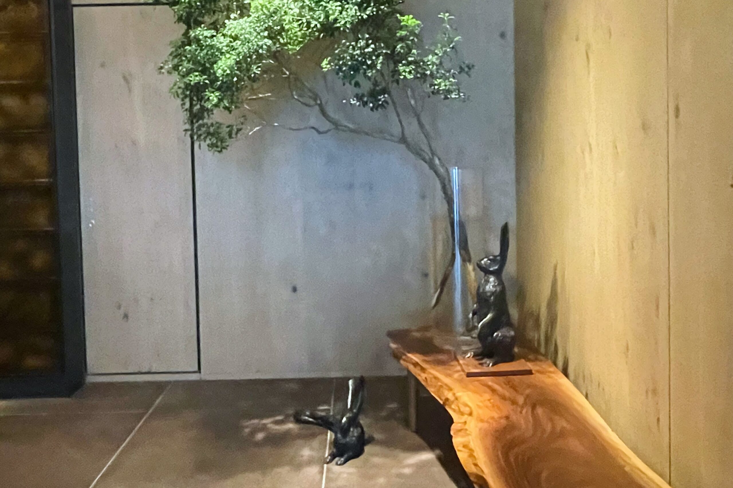 うさぎ