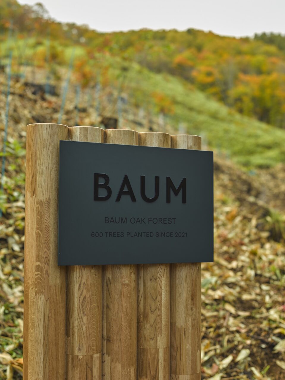 BAUMオークの森