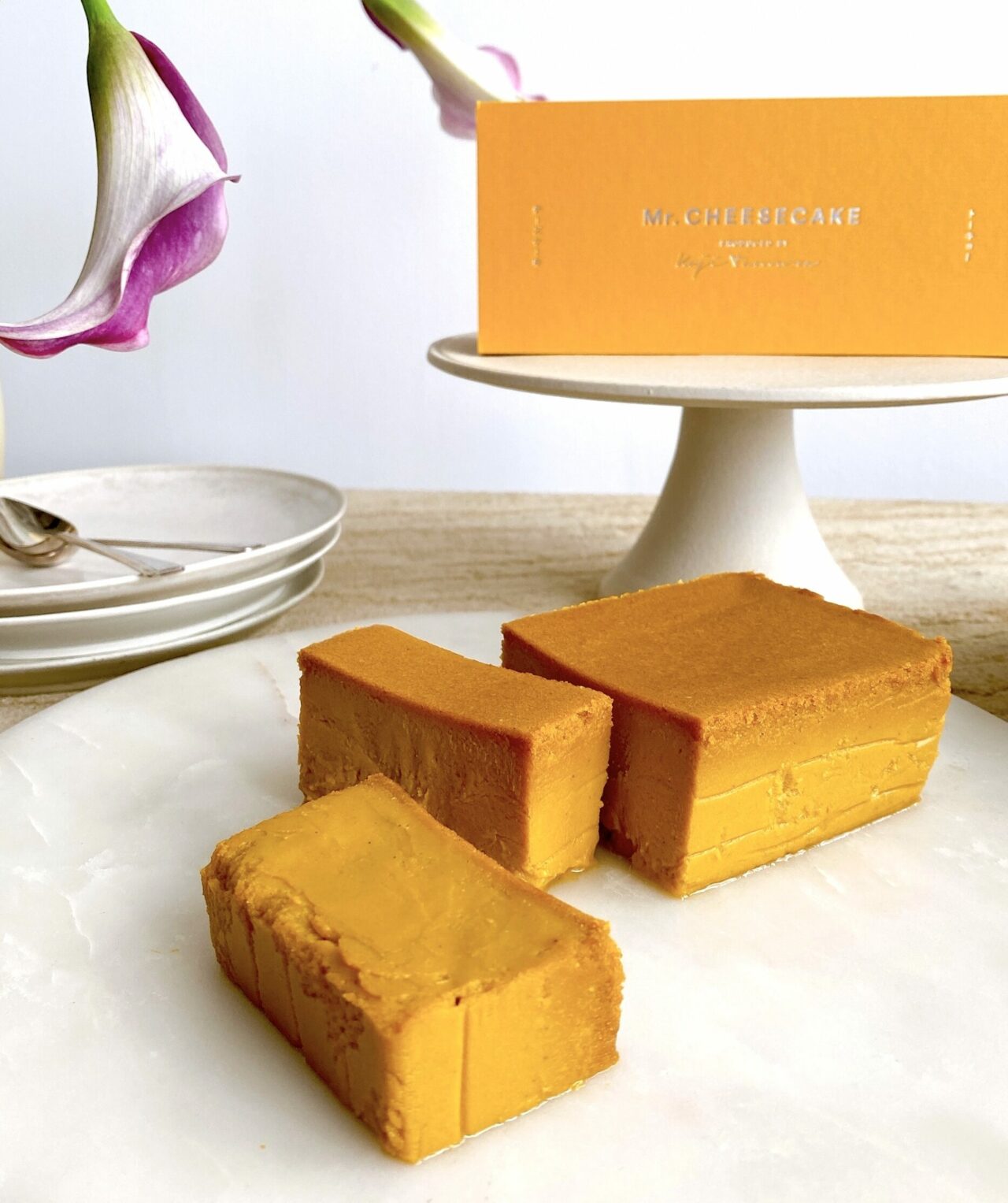 Mr. CHEESECAKE