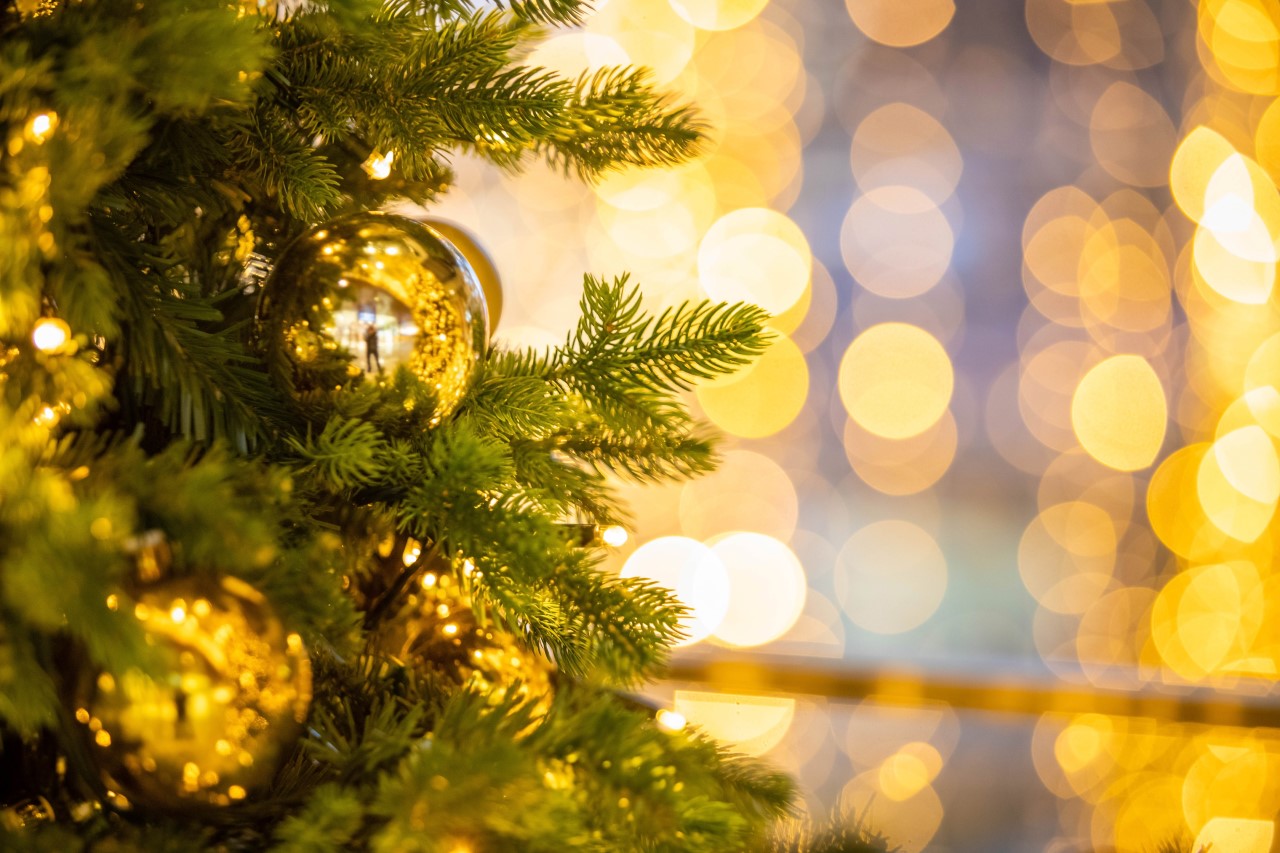 クリスマスイメージ