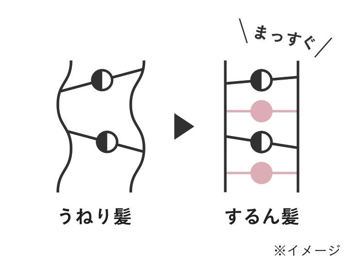 髪の内部構造「髪骨格」メソッド