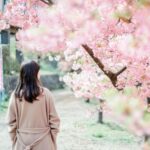 桜を眺める女性