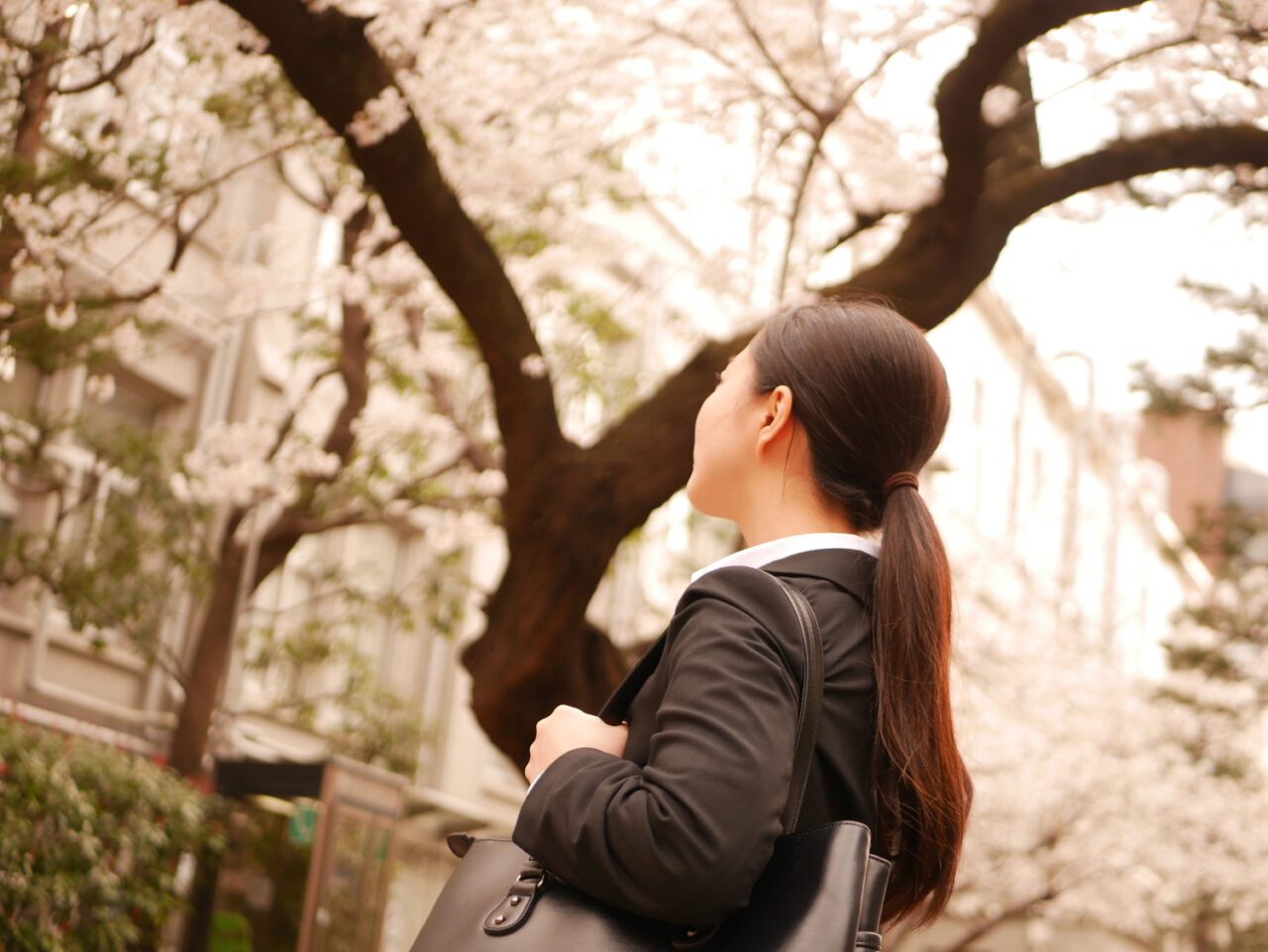 リクルートスーツの女性と桜