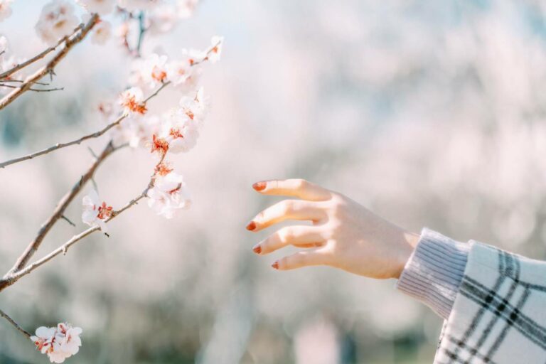 桜に手を伸ばす様子